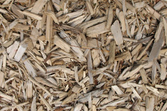 biomass boilers Altamuskin